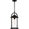 Quoizel Reece Outdoor Hanging 1 Light Earth Black RCE1909EK - alternate 1